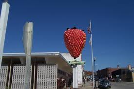 Check spelling or type a new query. World S Largest Strawberry Strawberry Point Iowa Travel Advisor