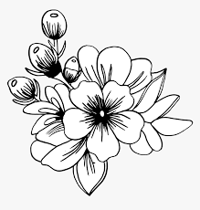 It is a very clean transparent background image and its resolution is 496x699 please mark the image source when quoting it. Black And White Hand Drawn Flower Png Transparent Png Kindpng