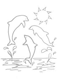 Dessin Pour Enfant 3 Dauphins Qui Sautent De L Eau A Colorier Coloriage Dauphin Coloriage Coloriage Vacances