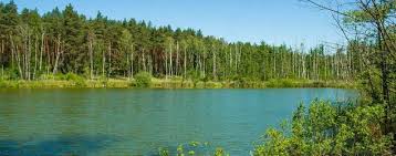 We did not find results for: Uckermark Nachrichten Und Aktuelle Beitrage
