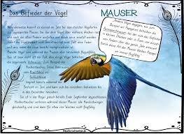Natürlich, die pressen die und produzieren so das öl. Stunde 2 Das Vogelgefieder Materialtanten