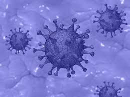 The world health organization (who) named it the delta variant on 31 may 2021. 2fdqiwftdyblcm