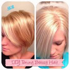 112m consumers helped this year. Busy Blondes Diy Toning Brassy Hair Brassy Hair Toner For Blonde Hair Diy Hair Toner