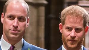 Royal Expert Says Prince Harry And Prince William Are Taking 'Baby Steps'  In Their Relationship