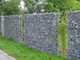 Cacher Un Mur En Parpaing Variegata Paysage Fence Plants Backyard Fences Modern Fence