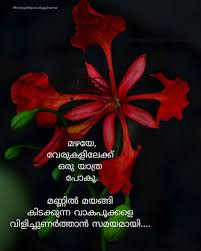Moviequotes Movie Quotes Deep Emotional Quotes Flower Quotes Daily Inspiration Quotes