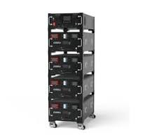 HV / LV battery module/cabinet - Cooli Lithium Battery Factory