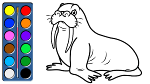 Color in this picture of a walrus and others with our library of online coloring pages. Coloring Walrus Walrus Drawing For Children Drawing And Coloring Pages For Kids Youtube