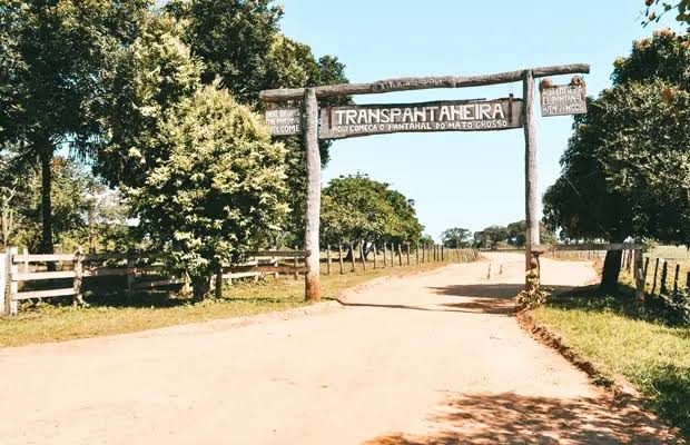 Transpantaneira de moto: estrada de chão, pontes e a vida selvagem do Pantanal