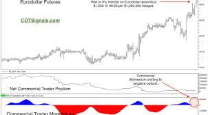 hedging interest rate risk with eurodollar futures