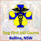 Ballina 26/10/2025 - Dog First Aid Course event image