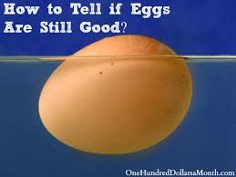 Mar 03, 2020 · how to use the egg float test: How To Tell If Eggs Are Still Good One Hundred Dollars A Month