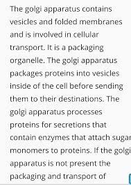 We did not find results for: What Would Happen To The Life Of The Cell If There Will Be No Golgi Appratus Brainly In
