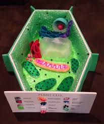 How To Create 3d Plant Cell And Animal Cell Models For Science Class Animal Cell Project Biology Projects Plant Cell Project