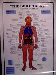 Charts Reflexology Acupressure Chakra Acupuncture More