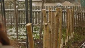 Querbeet Garten Weidenzaun Flechten Br De Weidenzaun Weiden Zaun