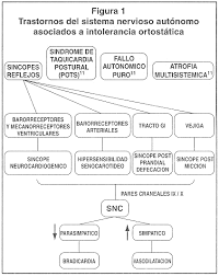 Cualquier episodio de síncope es importante por al menos dos razones. Sincope Neurocardiogenico