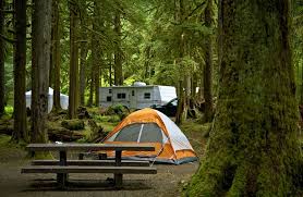 Visitors can head to nearby sequim and port angeles for picnic gear, shopping sprees, lattes and restaurant meals. Rv Camping At Olympic National Park
