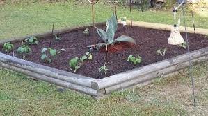 Maybe you would like to learn more about one of these? Raised Bed Vegetable Garden May Be Small But It S Full Of Plants