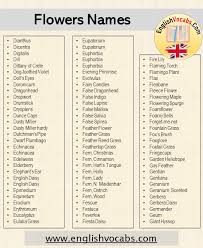 Check spelling or type a new query. 16 Flowers Name List In English English Vocabs