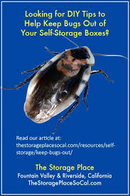 Tsp Looking For Diy Tips To Help Keep Bugs Out Of Your Self Storage Boxes Check Out Our Article At Http Thes Self Storage Storage Boxes Self Storage Units