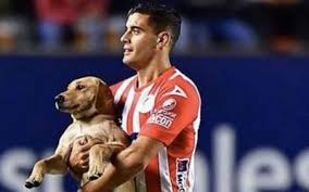 🔛 ¡mañana arrancamos con la venta libre de abonos! Ella Es La Perrita Tunita El Nuevo Refuerzo Del Atletico De San Luis El Sol De Mexico Noticias Deportes Gossip Columnas