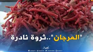 من أنواع المرجان מוחן, ينتمي لمجموعة المرجان السّداسية، ويلقّب بهذا الاسم لتشابه شكله مع شكل الدّماغ البشري. Ø§Ù„Ø·Ø§Ø±Ù ØµÙ†Ø§Ø¹Ø© Ø§Ù„Ù…Ø±Ø¬Ø§Ù† Ø«Ø±ÙˆØ© Ù…Ù‡Ø¯Ø¯Ø© Ø¨Ø§Ù„Ø¥Ù†Ø¯Ø«Ø§Ø± Youtube