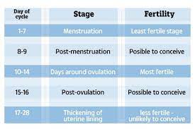 The Best Days To Have Sex If You Want To Get Pregnant And Avoid If You Don T