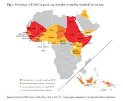 Fgm national clinical group was established in 2007 to help women who have been affected by fgm and other related issues. Published On N Iussp Org June 25 2018 Present And Future Of Female Genital Mutilation Cutting In Europe Mutilations Genitales Feminines Excision En Europe Etat Des Lieux Et Perspectives Livia Elisa Ortensi Although Previously Unknown Among Natives In