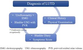 Frontiers Diagnosis And Management Of Bladder Dysfunction In Neurologically Normal Children Pediatrics