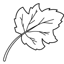 Tumble Leaf Coloring Pages Leaf Coloring Page Coloring Pages Leaf Coloring