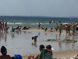 Plus there is a community dock for launching your kayak into the wild harbor river, as well as a ball field, tennis courts and relaxing living! Low Tide Picture Of Old Silver Beach Falmouth Tripadvisor