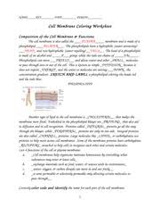 Match the cell membrane structure or its function with the correct letter from the cell membrane diagram. Key Cell Membrane And Tonicity Worksheet Name Answer Key Date Period Cell Membrane Tonicity Worksheet Composition Of The Cell Membrane Functions The Course Hero