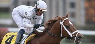 Image result for April Green 1977 Colt