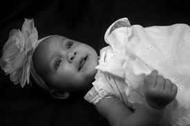 Cherry Blossom Moments Photography‎