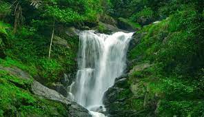 15 Best Places To Visit In Coorg Tourism Attractions Coorg Tourist Places Cool Places To Visit Places To Visit