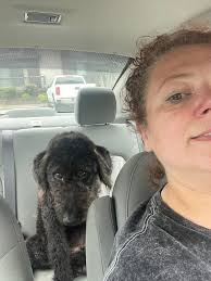 I saw this while delivering