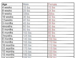 How Much Does The Average 4 Month Old Weight