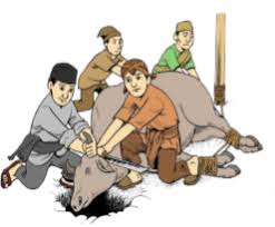 Ketentuan yang harus dipenuhi seorang penyemb*lih adalah: Bab 11 Menyayangi Binatang Dalam Syairat Penyembelihan Media Pembelajaran Online Guru Spensaka Smpn1kalimanah