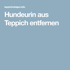 Ein altbewährter tipp aus omas zeiten nimmt die natur zur hilfe bei der reinigung des teppichs. Hundeurin Aus Teppich Entfernen Teppich Entfernen Teppich Reinigen Teppich