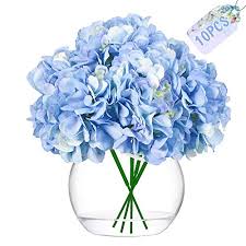 Check spelling or type a new query. Casa Bianca Cattleyahq 4 Teste Di Fiori Di Ortensia Artificiali Cucina Matrimoni Elegante Bouquet Di Ortensie Decorazione Di Fiori Finti Per Feste Fiori Artificiali Piante E Fiori Artificiali Amiralebsatte Com