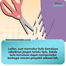 Ceo Biosure Inggris Mengatakan Rambut Kemaluan Bisa Melindungi Area Genital Dari Bakteri Penyebab Penyakit Infeksi Menular Seksu Personal Care Instagram Beauty