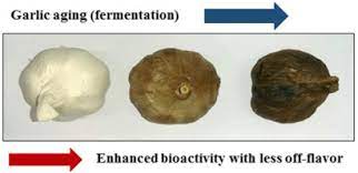 Black Garlic A Critical Review Of Its Production Bioactivity And Application Sciencedirect