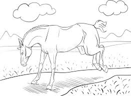 Check spelling or type a new query. Coloring Page With A Horse Stock Illustration Illustration Of Horsehair 62507508