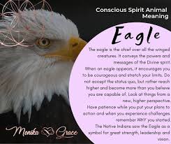 Spirit Animal Meaning The Divine Eagle Spirit Animal Meaning Animal Meanings Spirit Animal