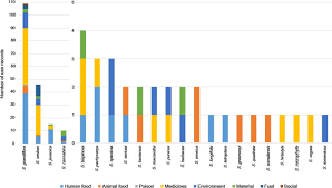Image result for Sesbania keniensis
