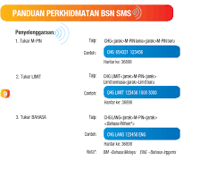 Video cara untuk mendapatkan penyata bank bsn secara online dengan pantas dan mudah. Semak Baki Akaun Bsn Melalui Sms Dan Pelbagai Fungsi Bsn Sms Banking Pakar Wang
