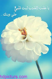 رمزيات بنات 2019 صور بنات رمزيات انستقرام بنات كيوت flowers 1 peter blue sky