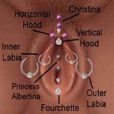 An Ultimate Clit Piercing Guide