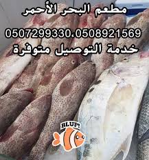 مطعم البحر الأحمر للأسماك Food Beverage Company Facebook 56 Photos
